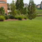 Why Is This Town Requiring All Homeowners, Even Those With Allergies, to Have Turf Grass?