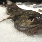 This Program Epitomizes Government Cronyism