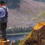 Environmentalists Halt Obama Administration Plan to Cut Trees in Alaska