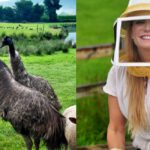 'Protect the Land Owner': Virginia Farmer Continues Fight Against Environmental Group