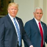 Trump Establishes Panel to Probe Voter Fraud