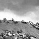 We Hear You: How to 'Wield the Most Effective Weapon Against Tyranny'