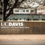 Professor Threatens Children of Pro-Israel Journalists With Violence