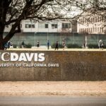 The DEI Higher Ed Machine Is Crumbling