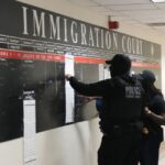 Trump’s Reforms to Asylum System Need to Be Codified Into Law, Immigration Experts Say