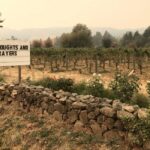 Why Would California Bureaucrats Want to Blow Up Dams and Take Water From 600K? Victor Davis Hanson Explains