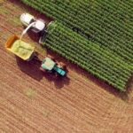 Farm Subsidy Apologists Are Painting a Misleading Picture. Here Are the Facts.