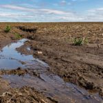 Trump’s New ‘Navigable Waters’ Rule Is an Improvement, but Still Murky