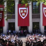 Can Higher Education Be Rescued From Grip of DEI?