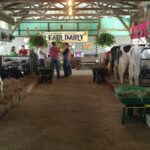 At This Ohio County Fair, Contempt for Washington