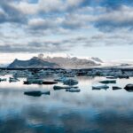 EXCLUSIVE: Meet Latest Criminal Illegal Aliens Taken Off US Streets