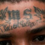 Trump Has Vowed to Eradicate MS-13. What You Need to Know About the Gang.