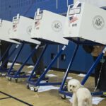 Elections Watchdog Seeks Answers in Michigan Voter Fraud Case