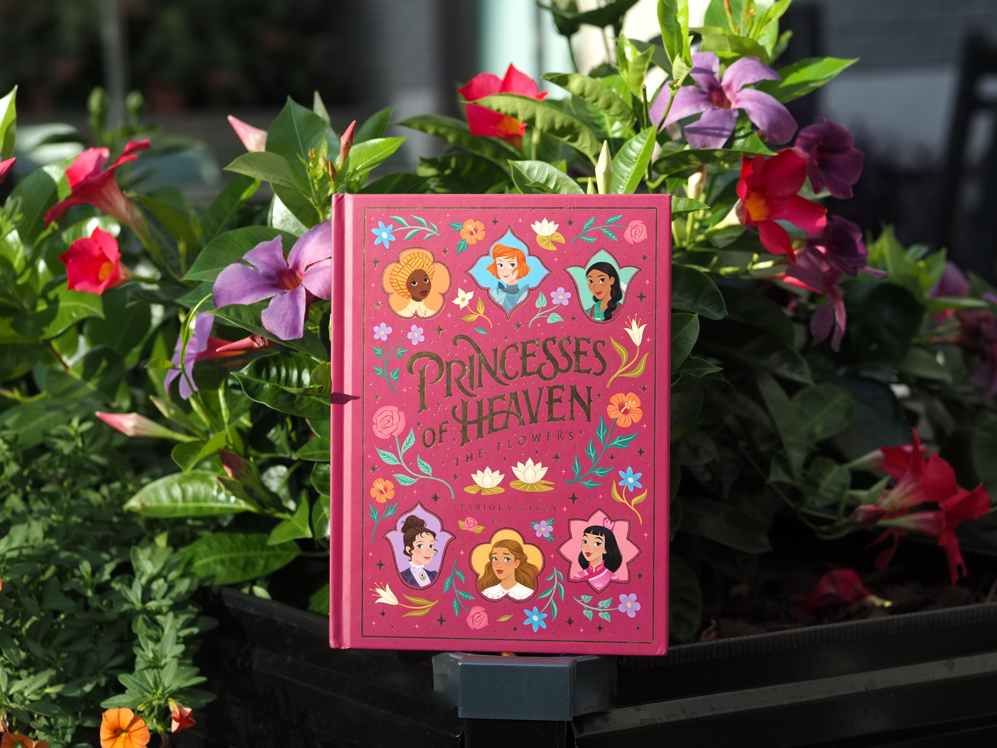 Princesses of Heaven illustrated book