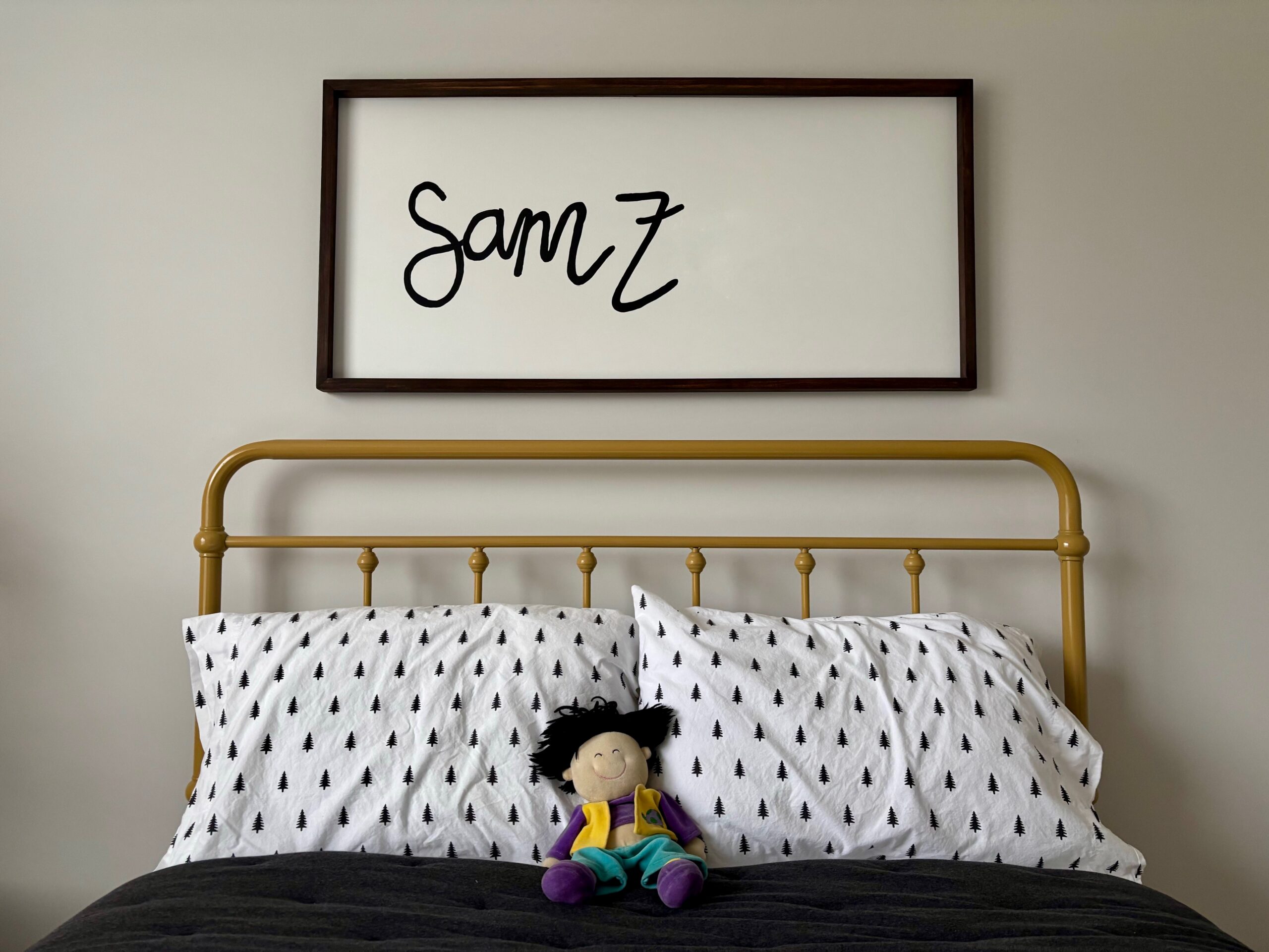 Trump Has ‘Opportunity to Do What His Predecessor Was Not Able to Do’ and Bring Blind Child Home From China 