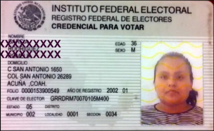 Voter ID Is Perfectly Normal Worldwide