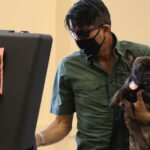 Florida Senate Advances Voter ID, Other Election Reforms