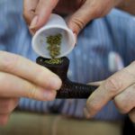 Colorado Launches $5.7 Million Campaign to Encourage Responsible Pot Use