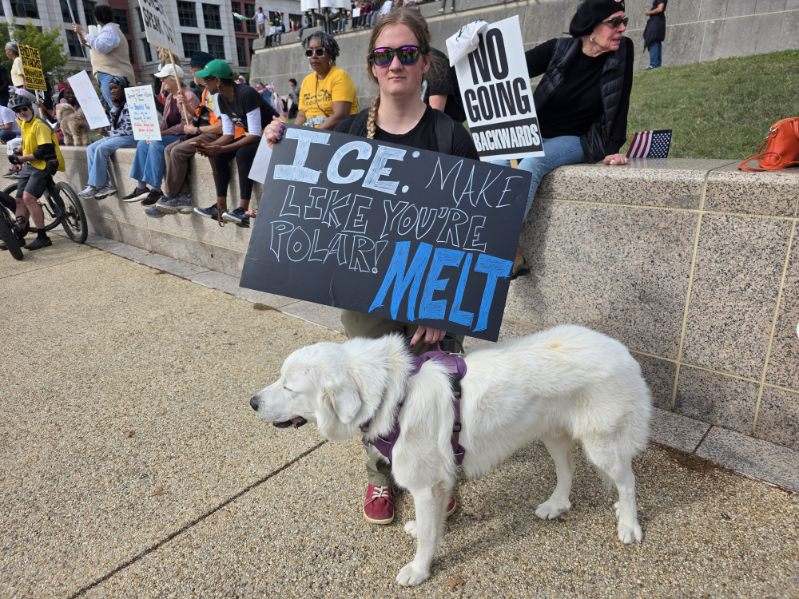 'No Kings' Protesters Reveal What Their Movement Is Really About