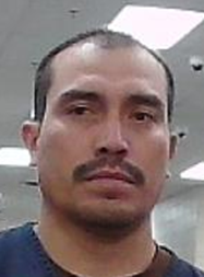 ICE Finds 10 Unaccompanied Migrant Children at Marijuana Grow Sites